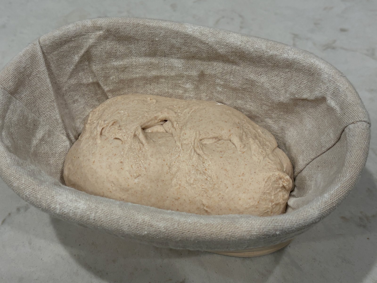 Shaped dough in a banneton